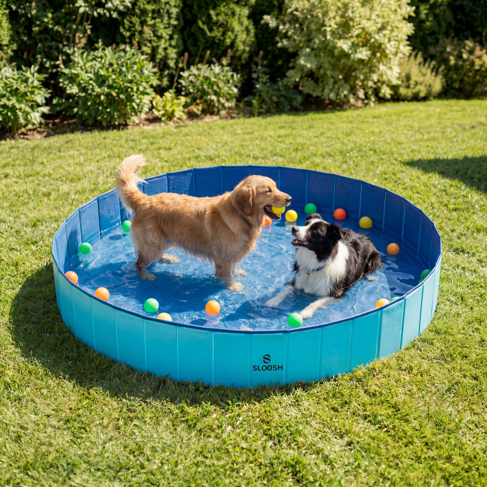 Paw-Proof & Play-Hard Durable